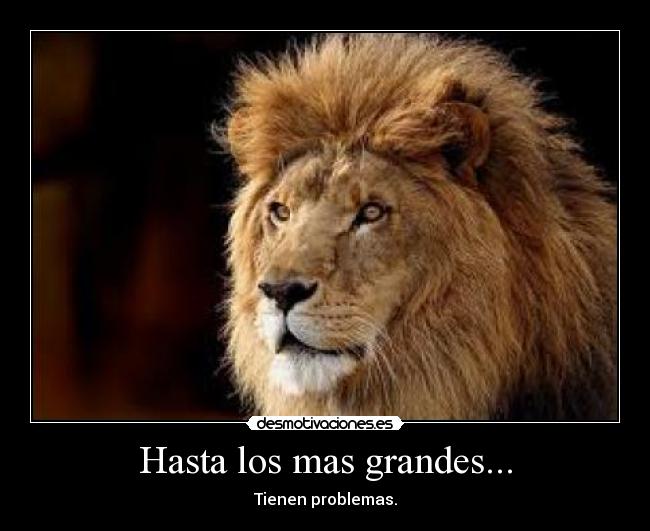 Hasta los mas grandes... -