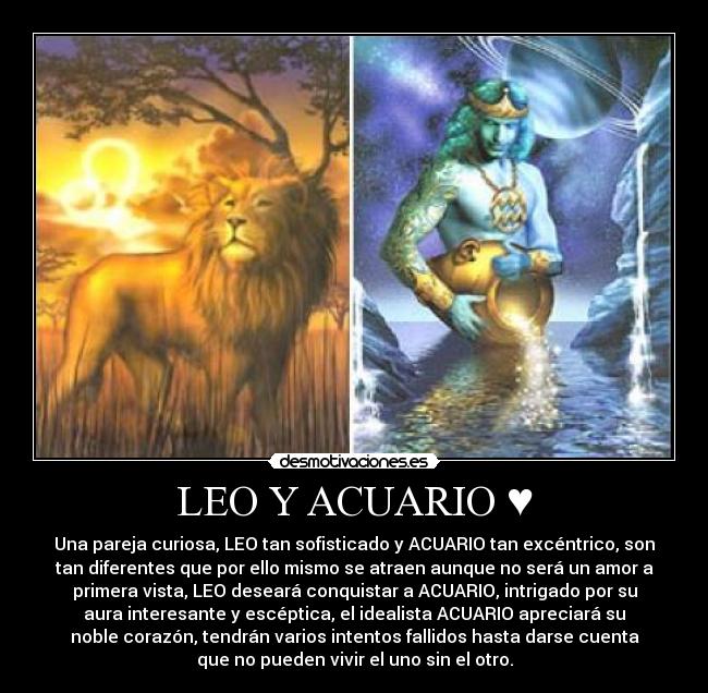 LEO Y ACUARIO ♥ - 