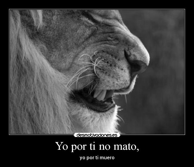 Yo por ti no mato, -