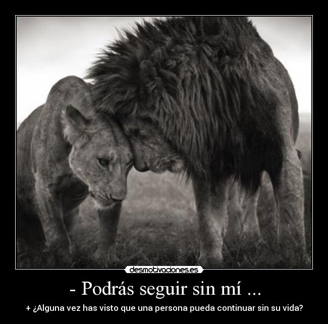 - Podrás seguir sin mí ... - 