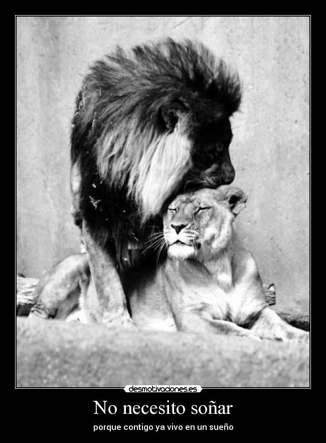 No necesito soñar - 