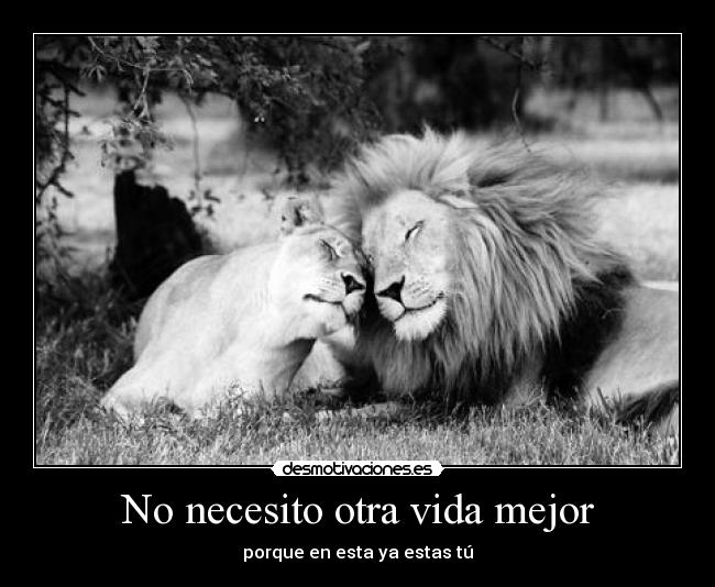 No necesito otra vida mejor -