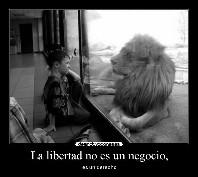 carteles libertad resubo porque pene este lion pone nino jijiji noaismysky manitolove desmotivaciones