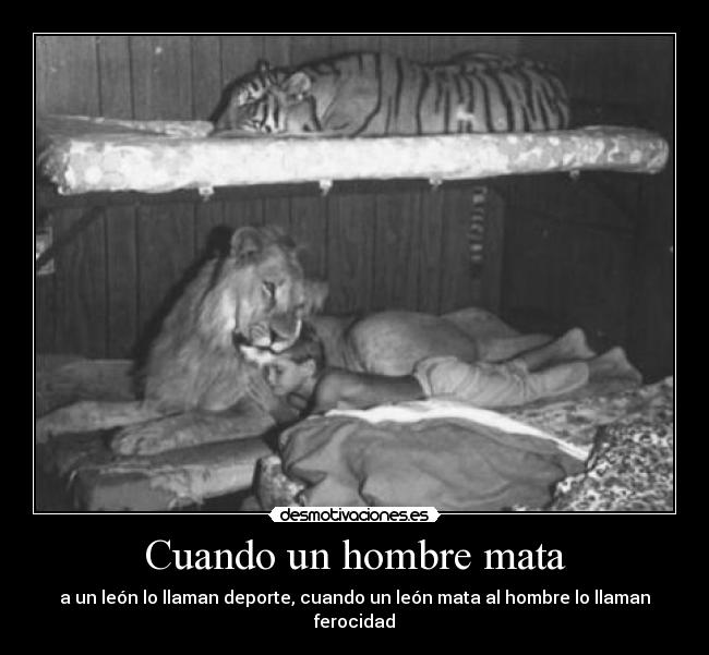 carteles mantengo leal cambio bando pene lion manitolove intruders noaismysky desmotivaciones