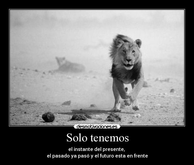 Solo tenemos -