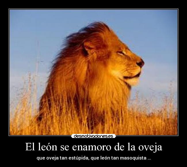 El león se enamoro de la oveja -
