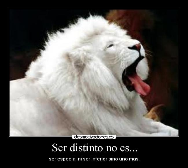 Ser distinto no es... -