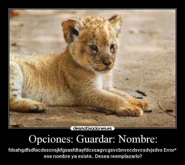 Opciones: Guardar: Nombre: - fdsahgdfsdfacdsscnsjkfgsasfdtayfdcxsagvcgsvcbnvxcdsvcsdvjsdvs Error*
ese nombre ya existe.. Desea reemplazarlo?