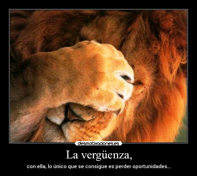 La vergüenza, - con ella, lo único que se consigue es perder oportunidades...