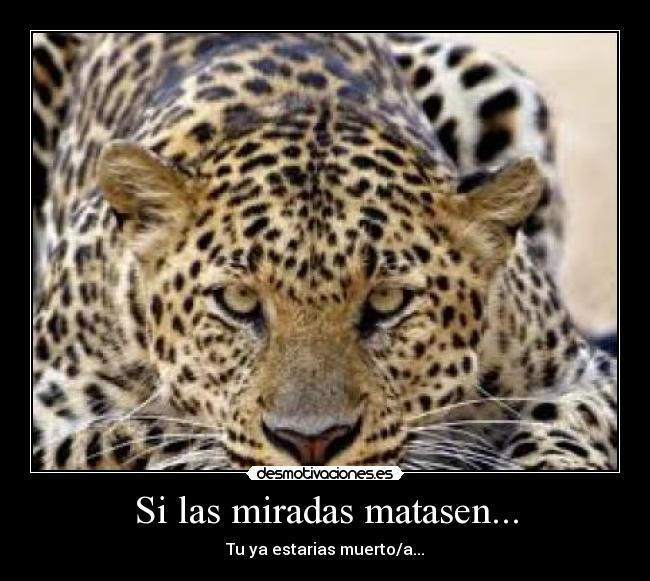 Si las miradas matasen... -