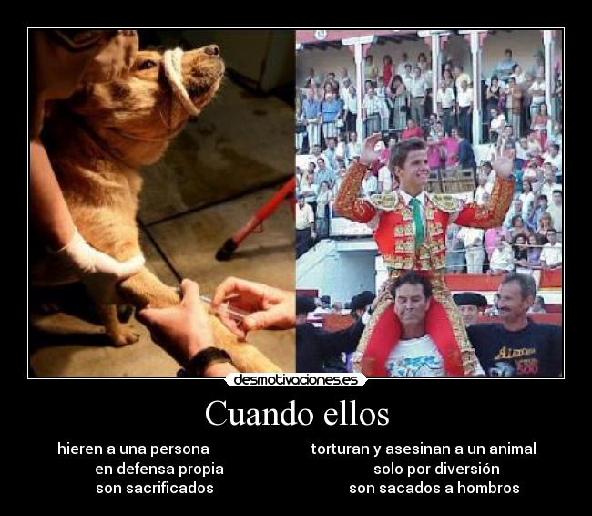 carteles soy una chica que dice groserias cual puto problema desmotivaciones