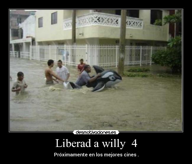 Liberad a willy  4 - 