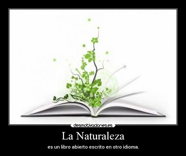 La Naturaleza - 