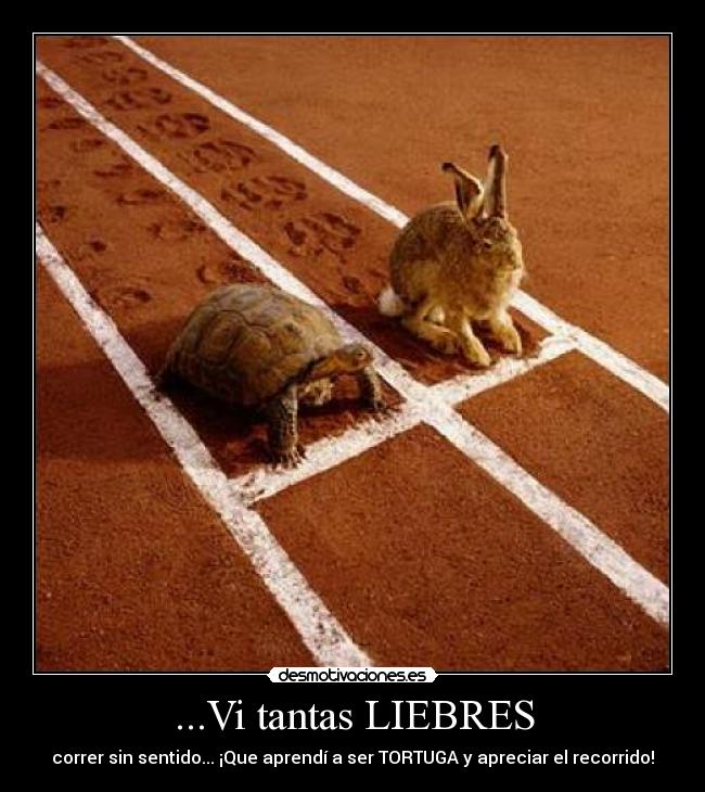 ...Vi tantas LIEBRES -