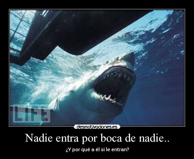 carteles fannycaastro desmotivaciones