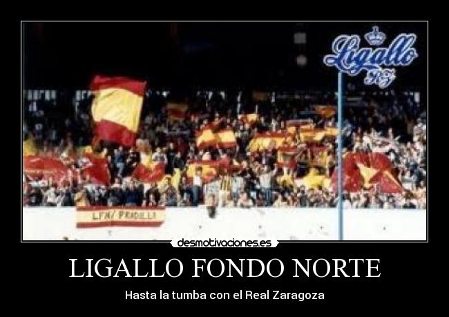 LIGALLO FONDO NORTE - Hasta la tumba con el Real Zaragoza