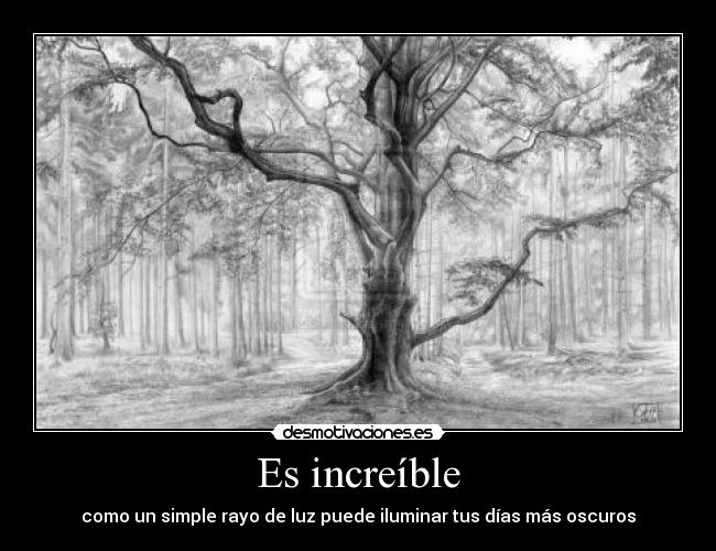 Es increíble - como un simple rayo de luz puede iluminar tus días más oscuros