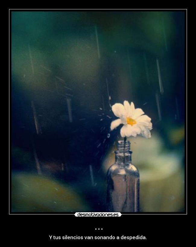 ... - Y tus silencios van sonando a despedida.
