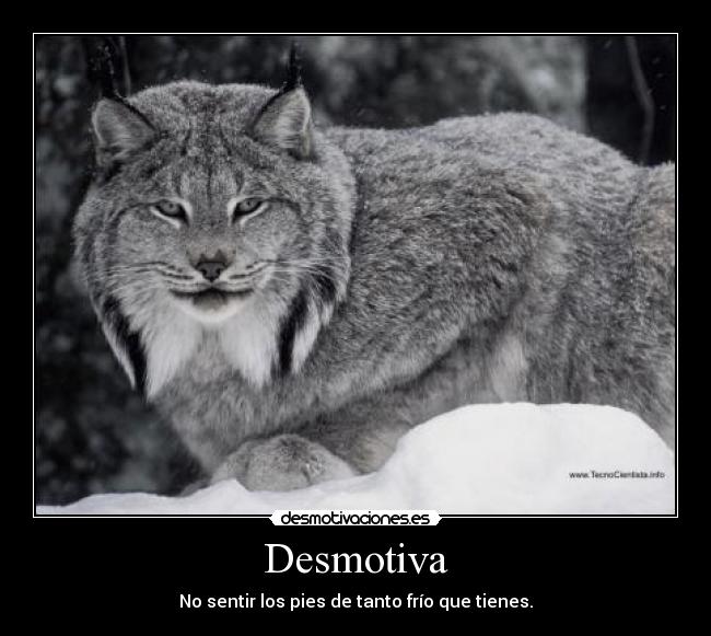 Desmotiva - No sentir los pies de tanto frío que tienes.