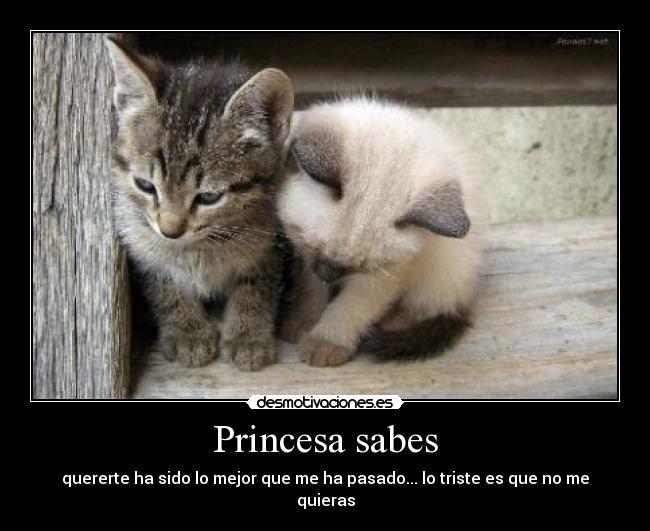 Princesa sabes - quererte ha sido lo mejor que me ha pasado... lo triste es que no me quieras