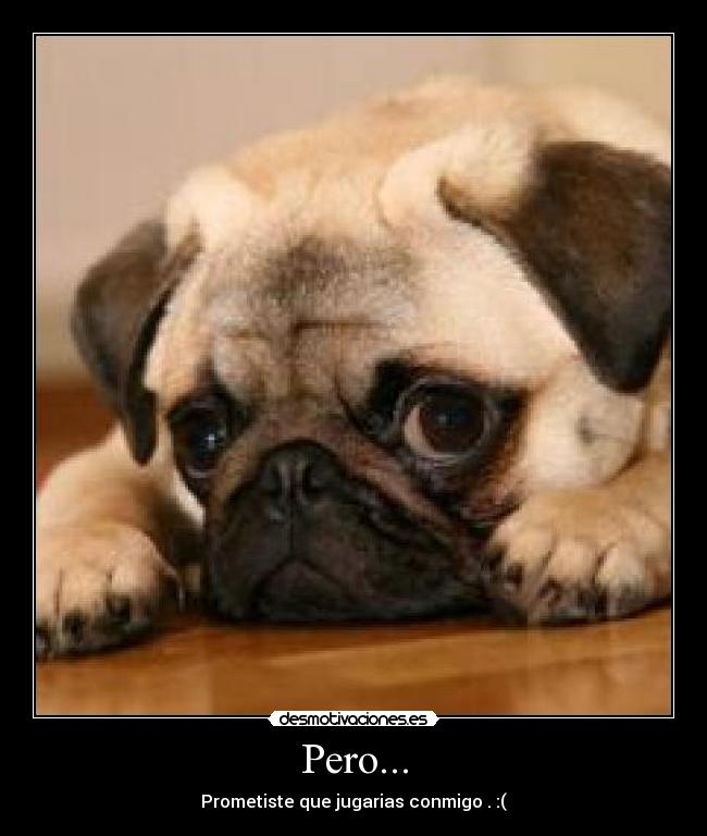 Pero... - Prometiste que jugarias conmigo . :(