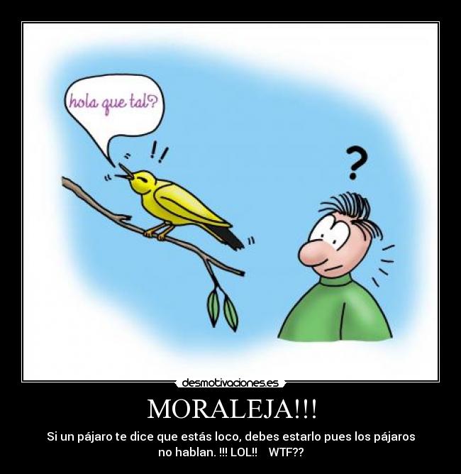 MORALEJA!!! - Si un pájaro te dice que estás loco, debes estarlo pues los pájaros
no hablan. !!! LOL!!    WTF??