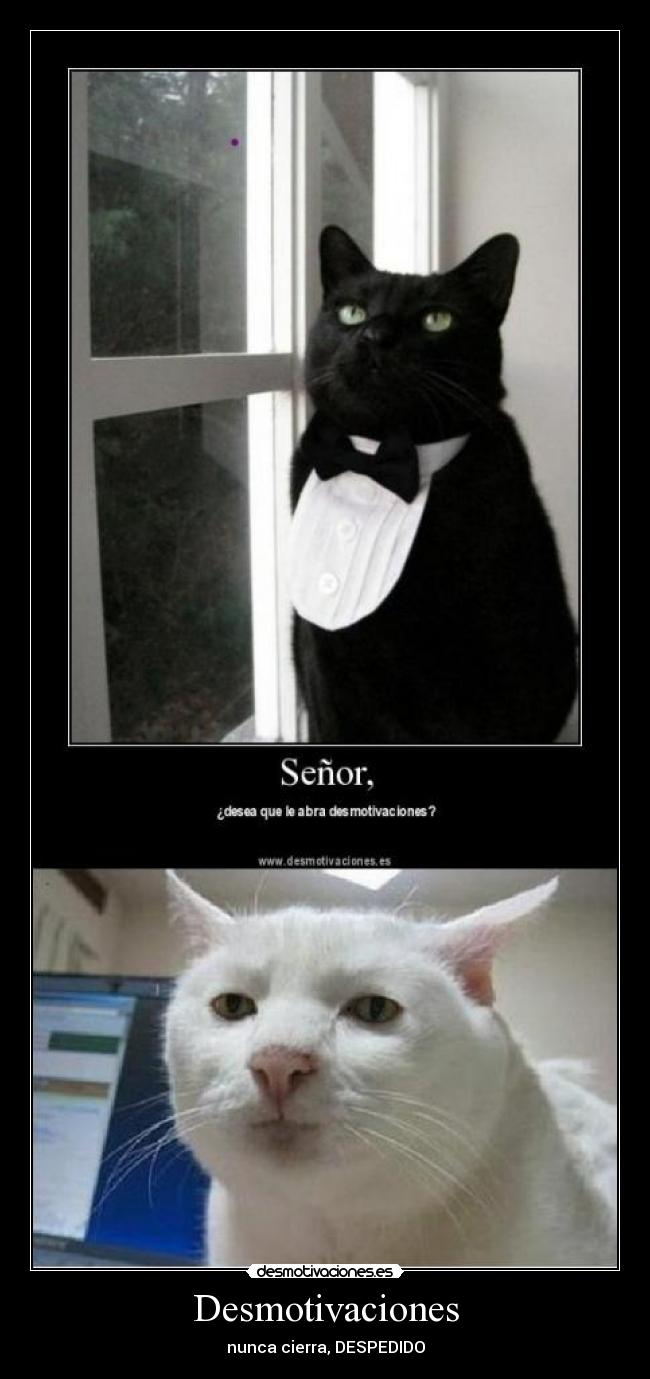 Desmotivaciones - nunca cierra, DESPEDIDO