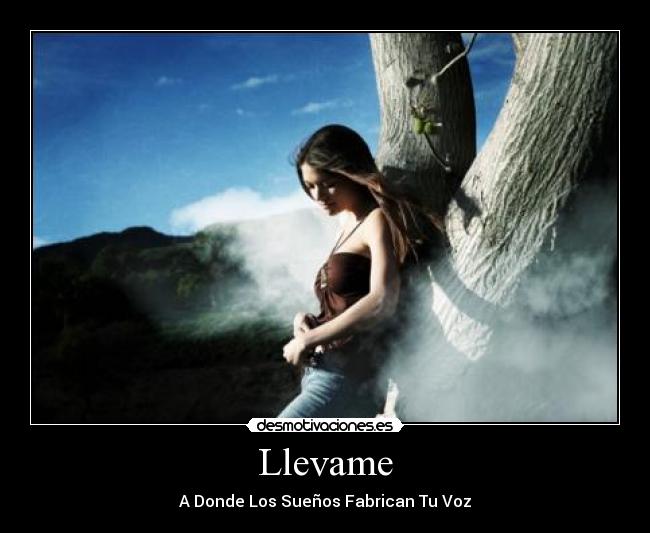 carteles llevame donde los suenos fabrican voz desmotivaciones