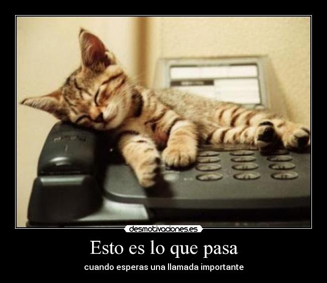Esto es lo que pasa - cuando esperas una llamada importante