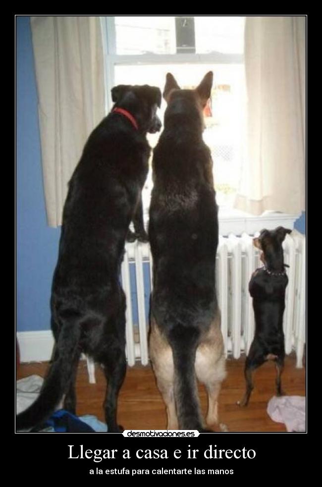 Llegar a casa e ir directo - 