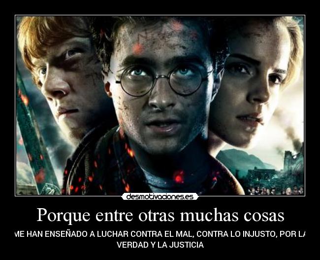 Porque entre otras muchas cosas - 