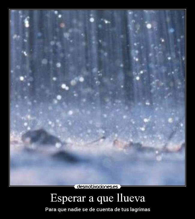 carteles esperar que llueva desmotivaciones