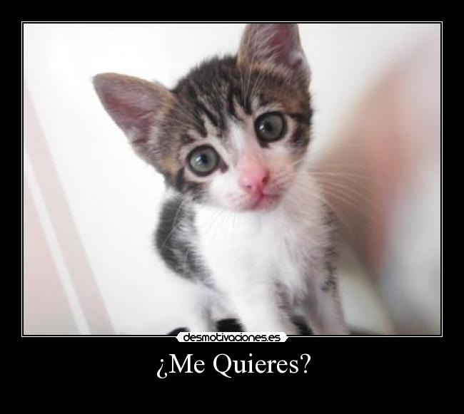 ¿Me Quieres? - 