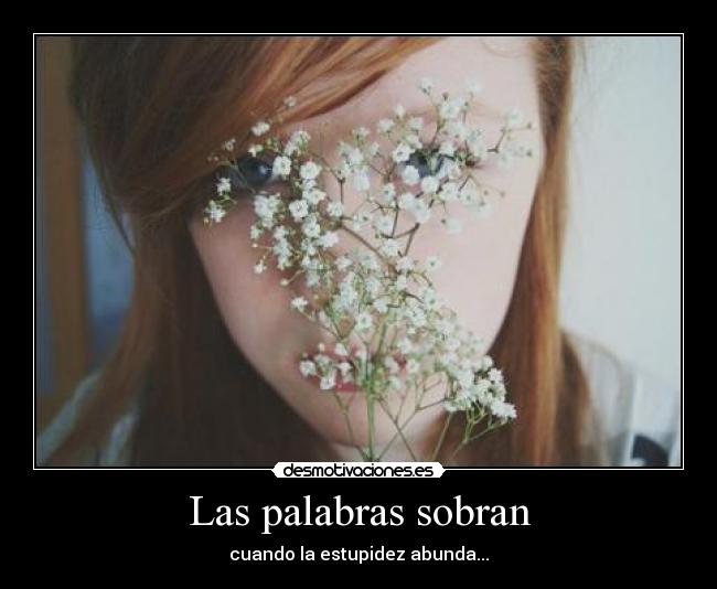 Las palabras sobran - cuando la estupidez abunda...