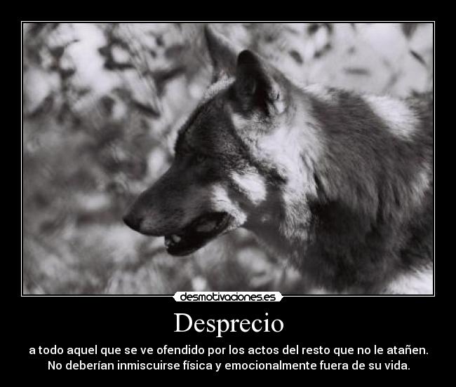 carteles nart bellum veritatis desmotivaciones