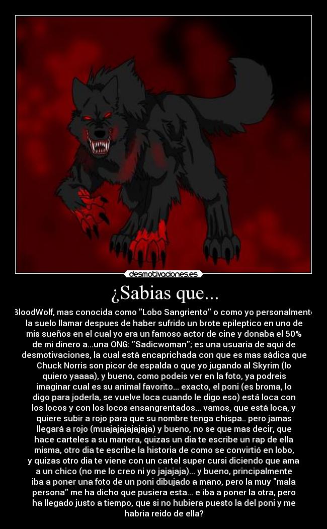 ¿Sabias que... - BloodWolf, mas conocida como Lobo Sangriento o como yo personalmente
la suelo llamar despues de haber sufrido un brote epileptico en uno de
mis sueños en el cual yo era un famoso actor de cine y donaba el 50%
de mi dinero a...una ONG: Sadicwoman; es una usuaria de aqui de
desmotivaciones, la cual está encaprichada con que es mas sádica que
Chuck Norris son picor de espalda o que yo jugando al Skyrim (lo
quiero yaaaa), y bueno, como podeis ver en la foto, ya podreis
imaginar cual es su animal favorito... exacto, el poni (es broma, lo
digo para joderla, se vuelve loca cuando le digo eso) está loca con
los locos y con los locos ensangrentados... vamos, que está loca, y
quiere subir a rojo para que su nombre tenga chispa.. pero jamas
llegará a rojo (muajajajajajaja) y bueno, no se que mas decir, que
hace carteles a su manera, quizas un dia te escribe un rap de ella
misma, otro dia te escribe la historia de como se convirtió en lobo,
y quizas otro dia te viene con un cartel super cursi diciendo que ama
a un chico (no me lo creo ni yo jajajaja)... y bueno, principalmente
iba a poner una foto de un poni dibujado a mano, pero la muy mala
persona me ha dicho que pusiera esta... e iba a poner la otra, pero
ha llegado justo a tiempo, que si no hubiera puesto la del poni y me
habria reido de ella?