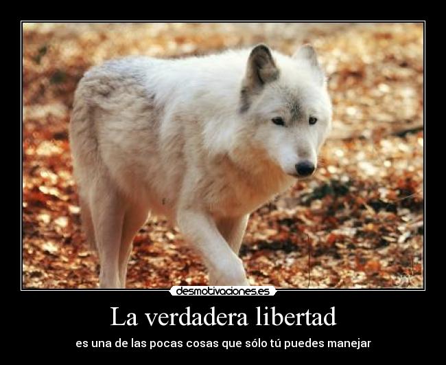 La verdadera libertad - 