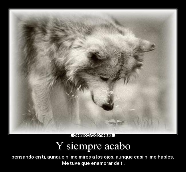 Y siempre acabo - pensando en ti, aunque ni me mires a los ojos, aunque casi ni me hables.
Me tuve que enamorar de ti.