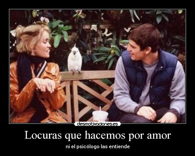 Locuras que hacemos por amor - 