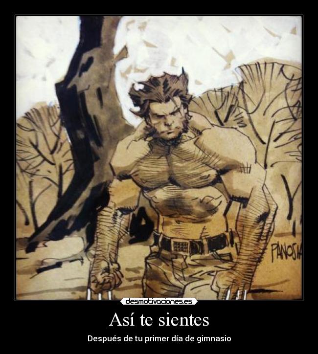 carteles asi sientes despues primer dia gimnasio gym men guepardo wolverine desmotivaciones