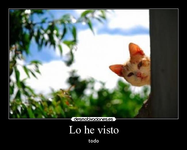 Lo he visto - 