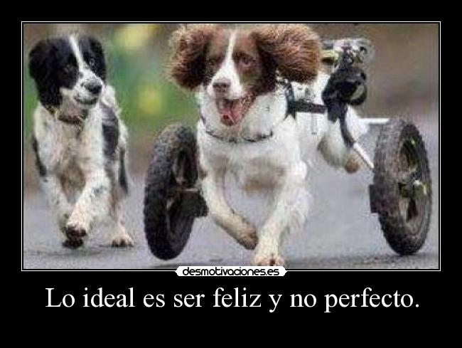 Lo ideal es ser feliz y no perfecto. - 