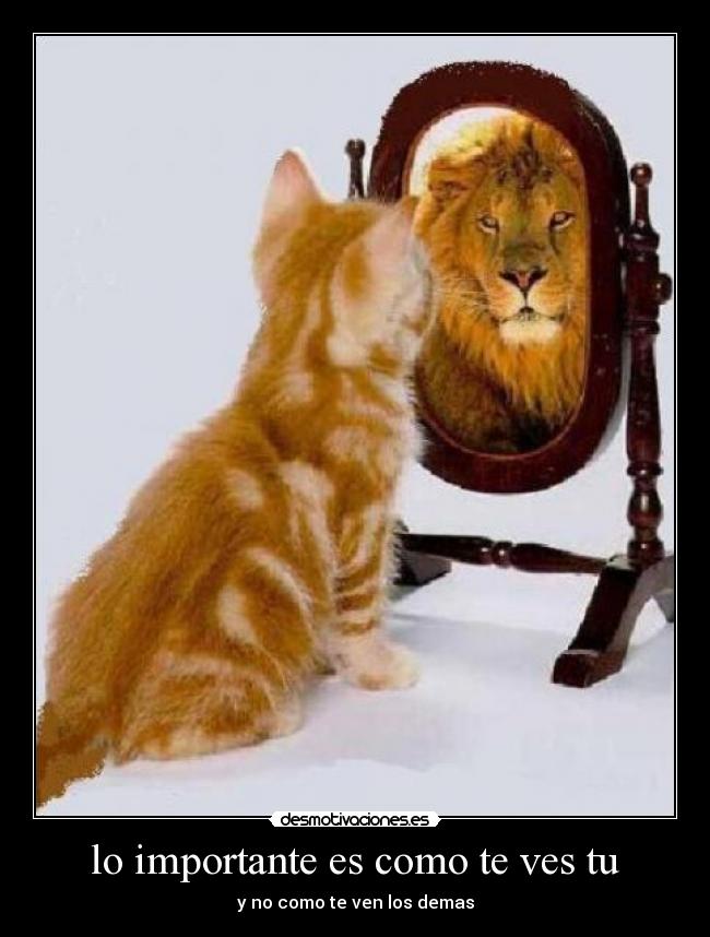 carteles importante como ves desmotivaciones