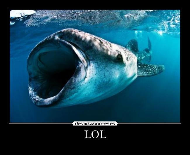 LOL -