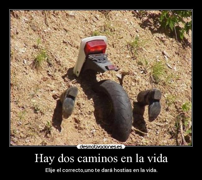 Hay dos caminos en la vida - Elije el correcto,uno te dará hostias en la vida.