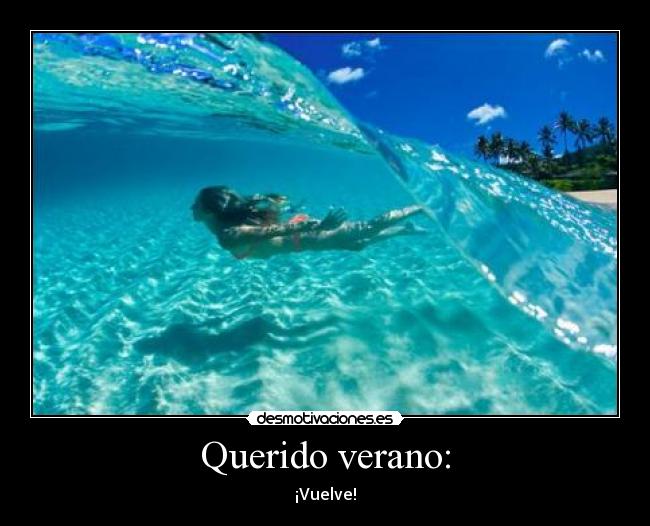 Querido verano: -