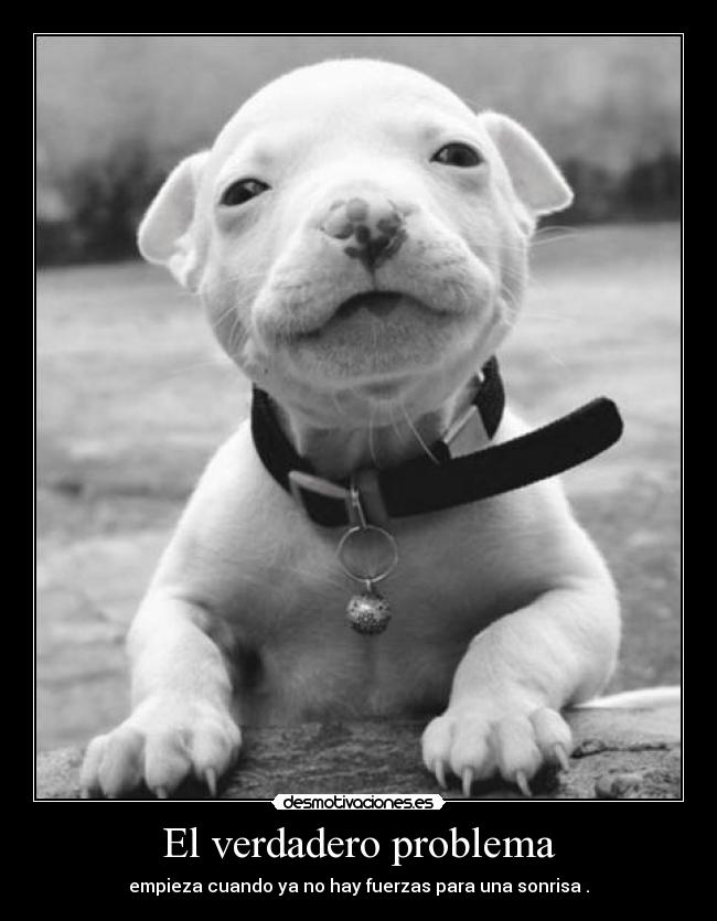 El verdadero problema -