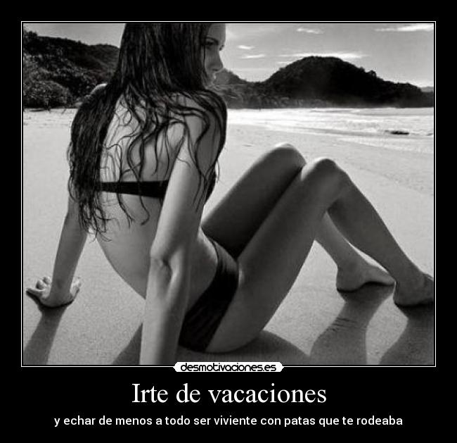 Irte de vacaciones - y echar de menos a todo ser viviente con patas que te rodeaba