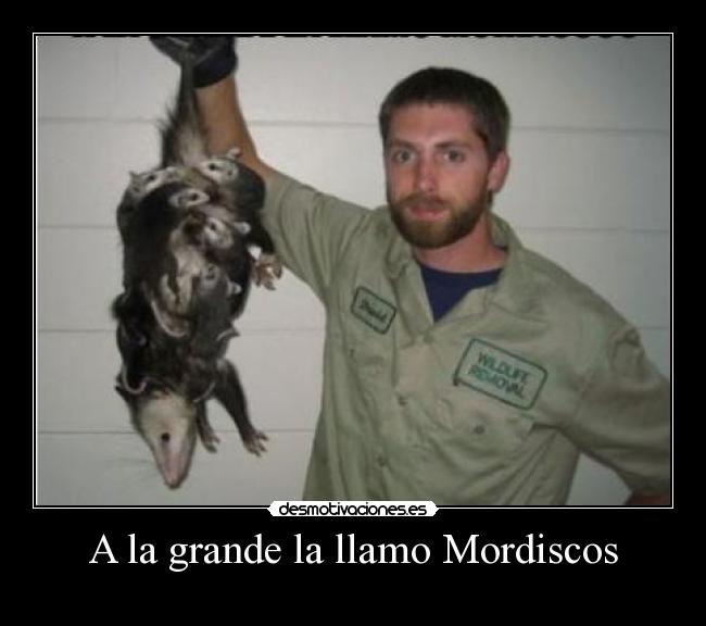 A la grande la llamo Mordiscos -
