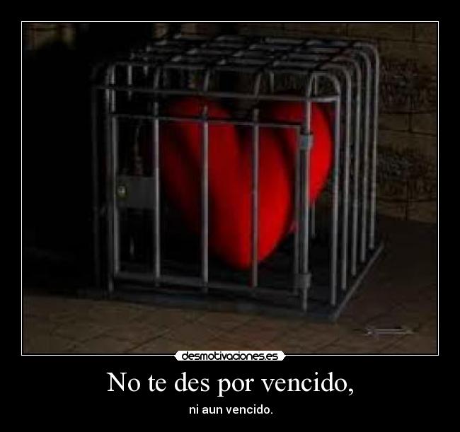 No te des por vencido, - 